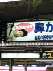 hanapaipu.jpg